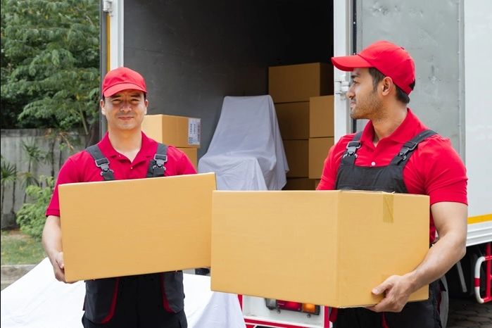 Movers carrying boxes