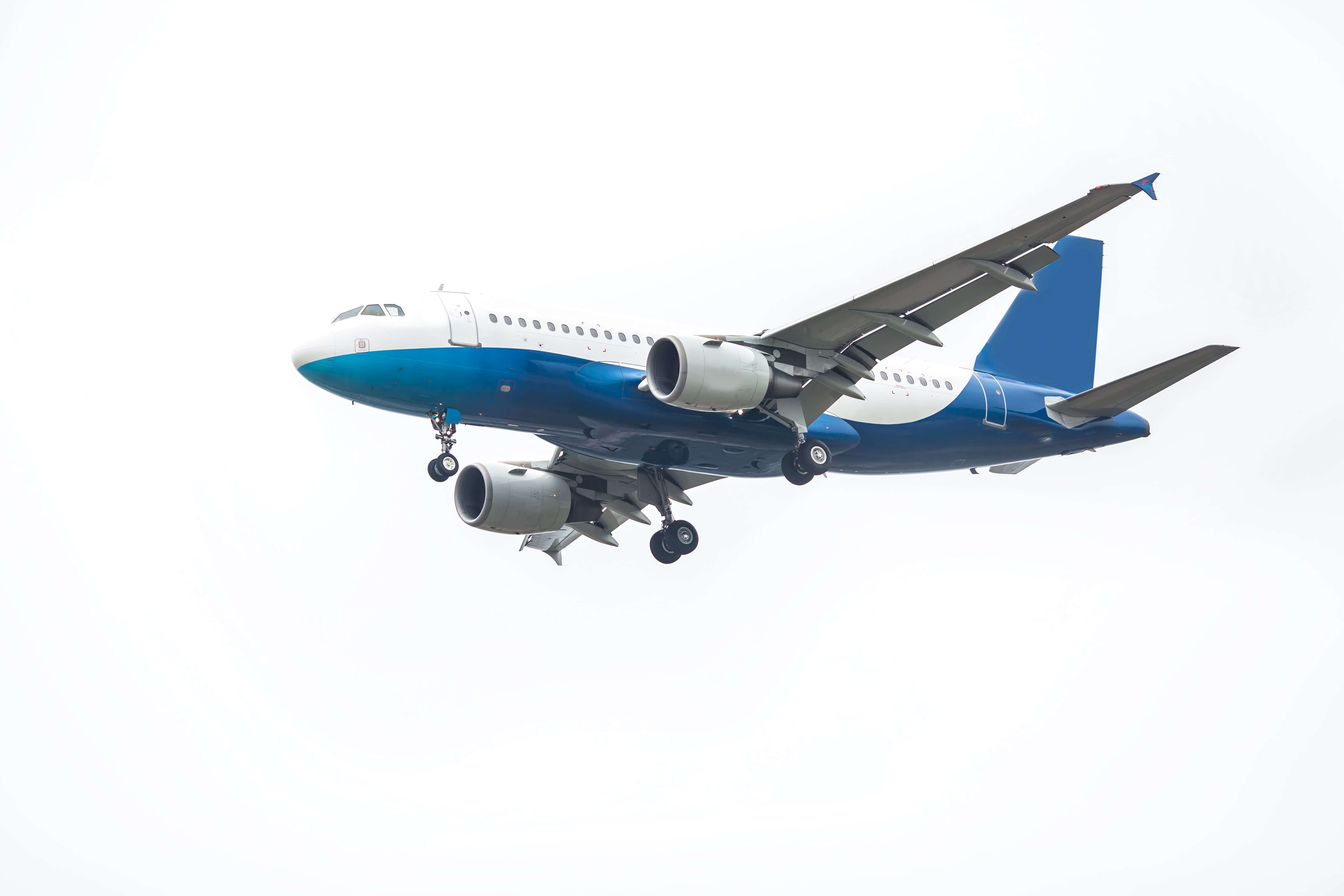 International mover holding packages